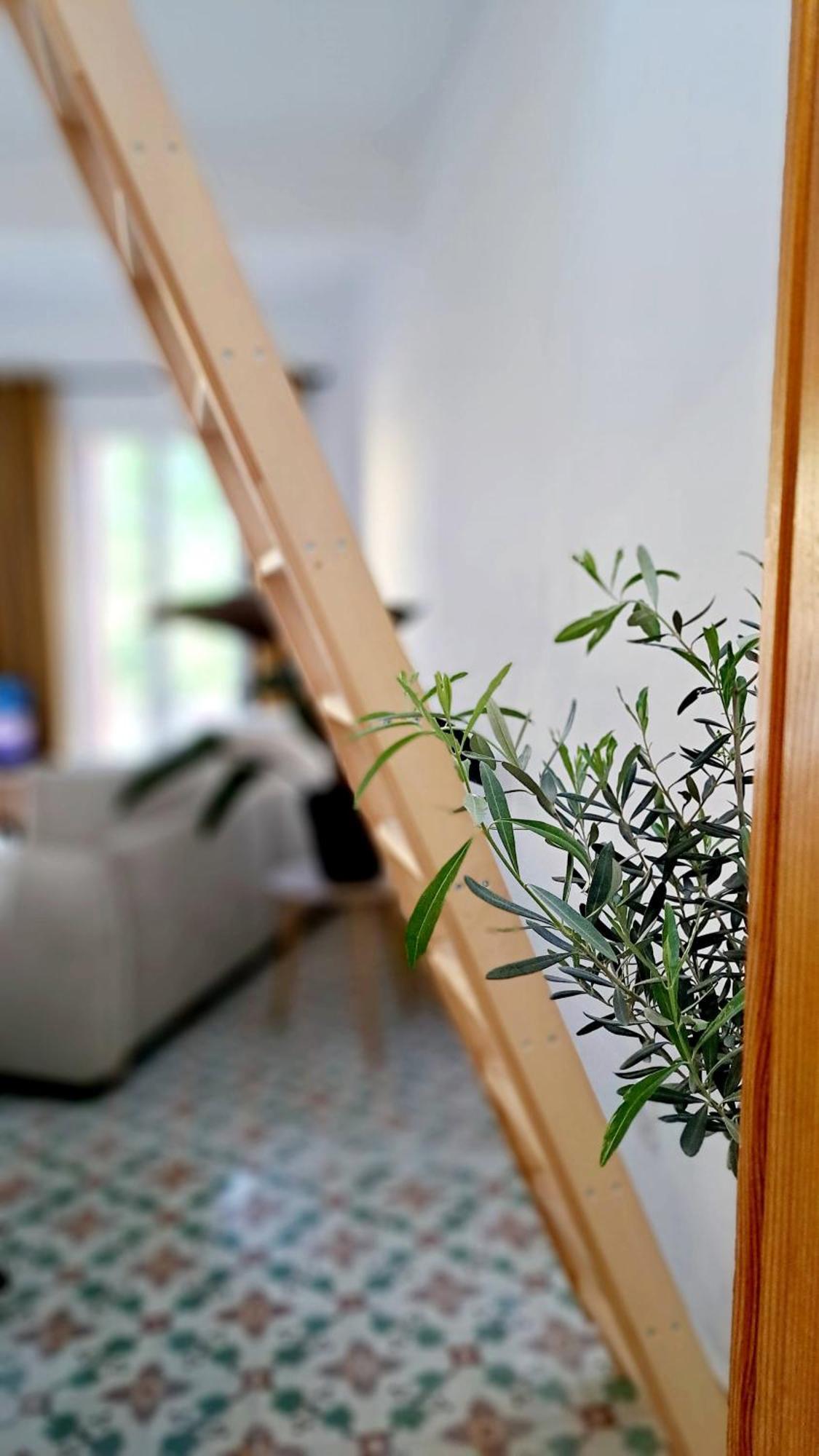 ホテル Casa Tramuntana トータヴェル エクステリア 写真