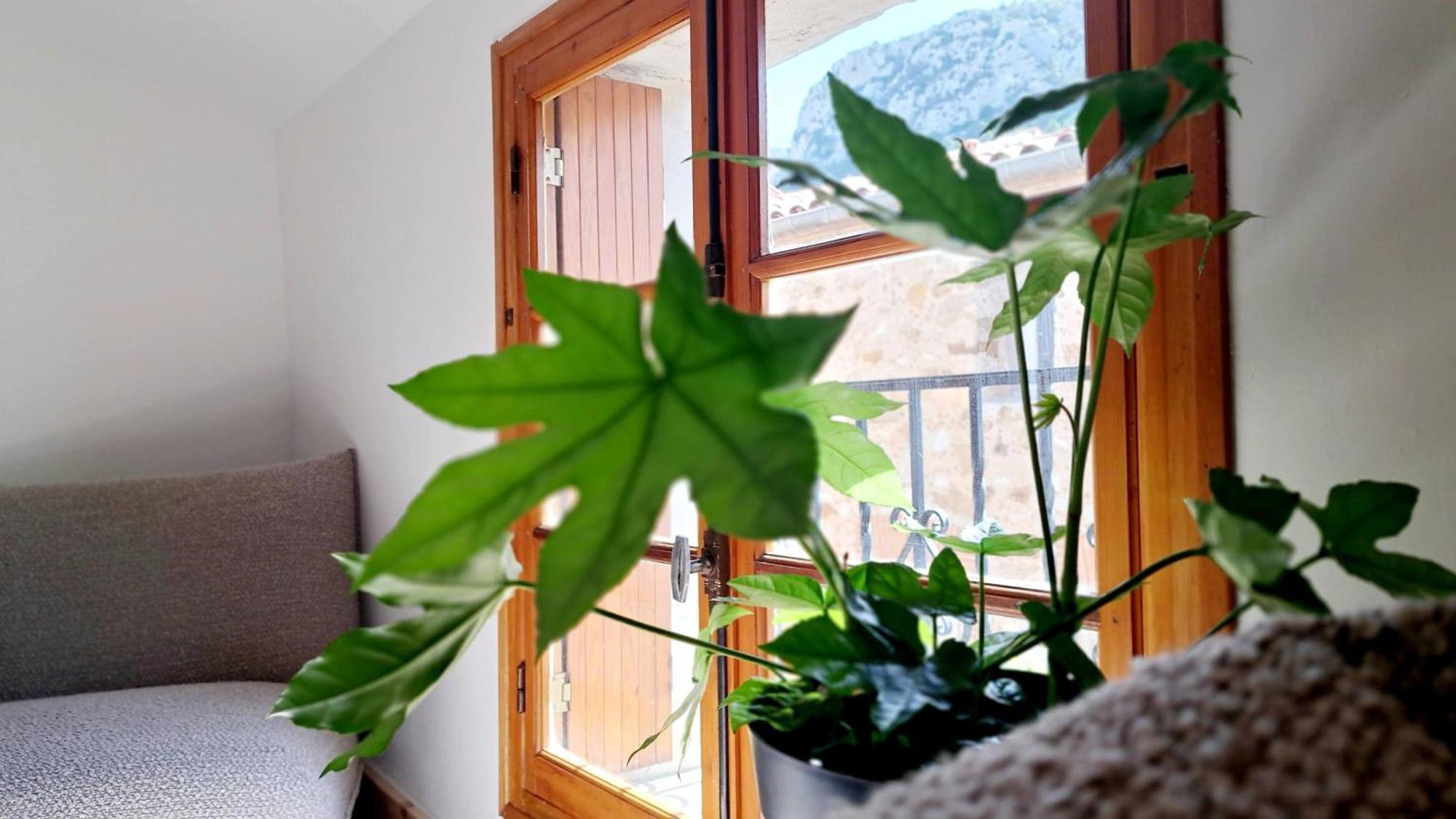 ホテル Casa Tramuntana トータヴェル エクステリア 写真